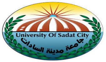 فتح باب الترشح لعضوية مجلس إدارة نقابة العاملين بجامعة مدينة السادات