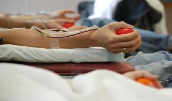 اليوم انطلاق حملة التبرع بالدم بكلية الطب البيطري بالجامعة
