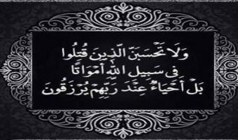 رئيس جامعة السادات يدين الحادث الإرهابي بشمال سيناء