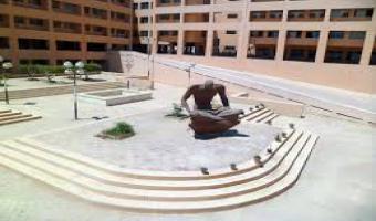 فتح باب تحويل الطلاب إلى شعبة اللغة الإنجليزية بكلية السياحة والفنادق من الكليات المتناظرة