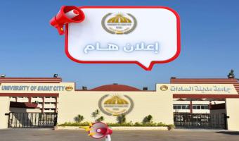 جامعة مدينة السادات تنظم ورشة عمل تدريبية بعنوان