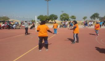 فوز فريق الكرة الطائرة بالمركز الأول بعد تغلبه على جامعة المنيا فى اللقاء الرياضى بالأقصر