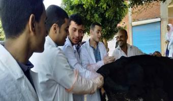 قافله طبية بيطريه بكفر زيادة بكوم حماده