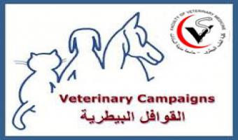 قافلة طبية بيطرية الى قرية الإمام مالك بالبحيرة