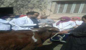 القوافل الطبية تصل قرية دنشواى بمركز الشهداء