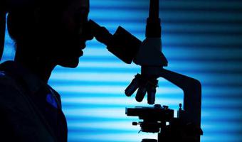 ورشة عمل بعنوان