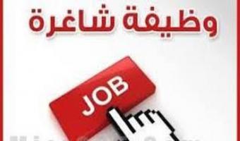 جامعة مدينة السادات تعلن عن حاجتها لتعيين شيف 