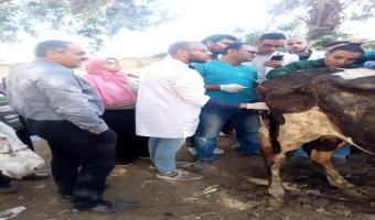 انطلاق قافلة طبية بيطرية مجانية الي طملاي منوفية