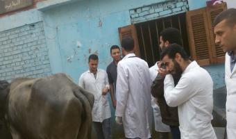 إنطلاق قافلة طبية بيطرية إلى قرية صنصفط مركز منوف