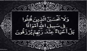 رئيس الجامعة ينعى شهداء الوطن بكمين العريش